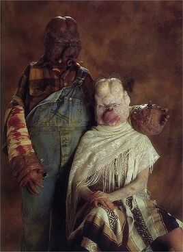 Giblin&Vealeimage