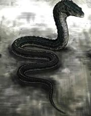 Harry Potter Basilisk.jpg
