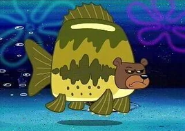 11-4 8