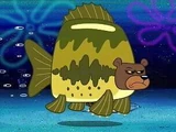 Sea Bear