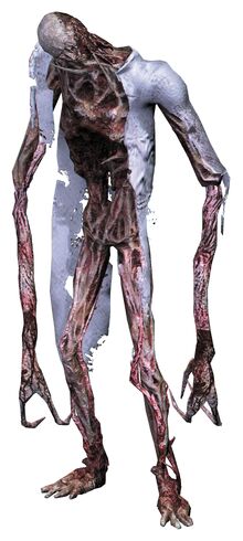 Divider-full-body