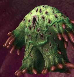 Apoc psimorph