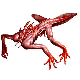 Albinoid.jpg
