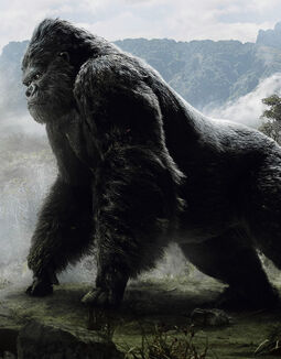 2212023-king kong.jpg