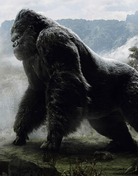 NEW YORK GIANTS: There's a new giant in New York, and his name is Kong. The