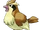 Pidgey
