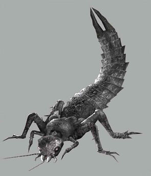 Scissor tail.jpg