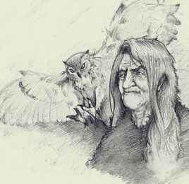 Lechuza