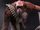 Skar King