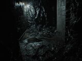 Mold