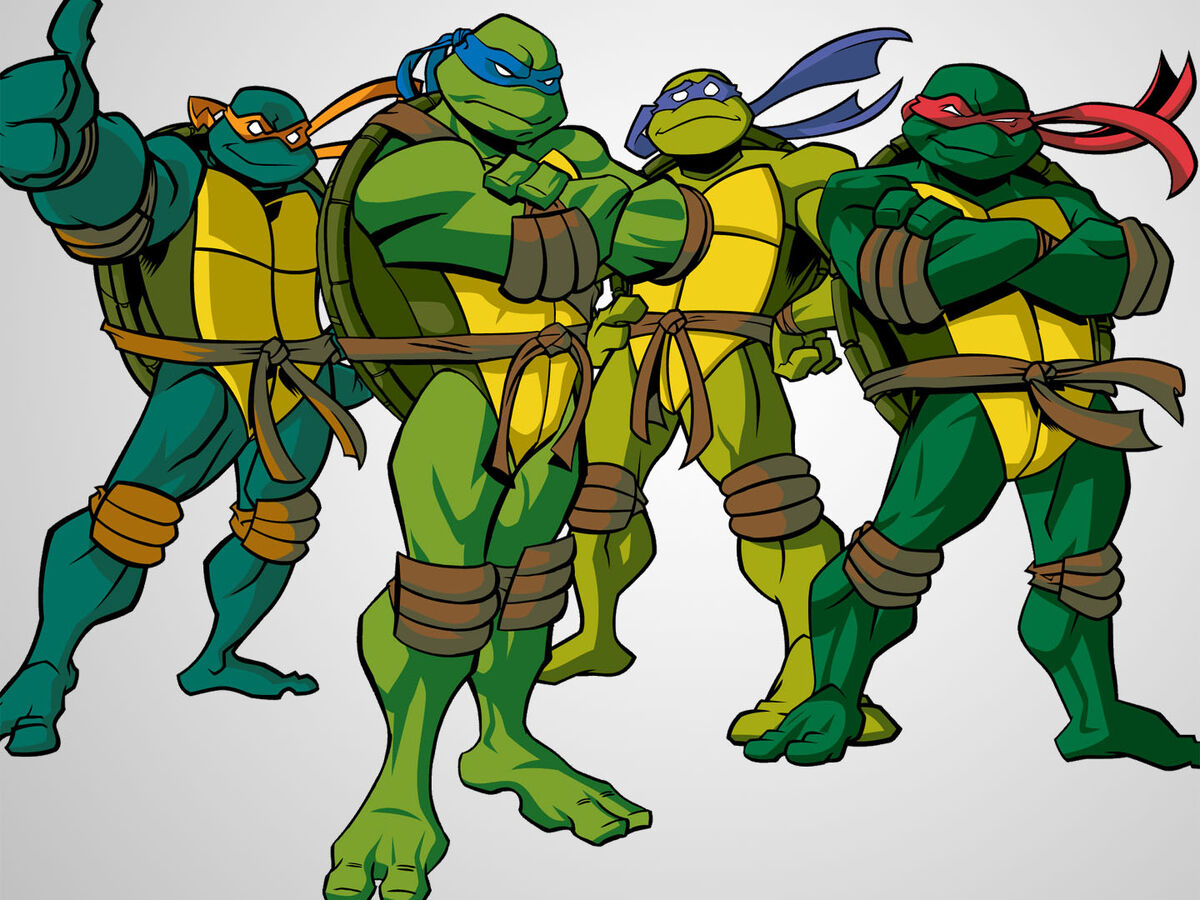 ninja turtle cartoon