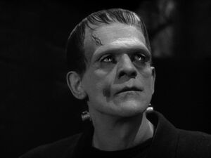 Frankenstein's Monster in Frankenstein (1931)