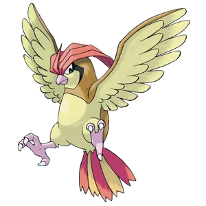 600px-017Pidgeotto