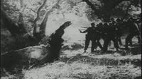 CreepingTerror2image