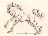 Unicorn