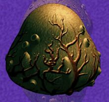 Apoc suckerpod