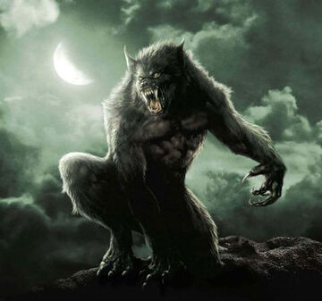 Werewolf Werewolf