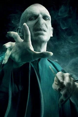 So Did Voldemort, Apparently, Harry Potter