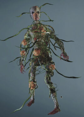 RE2make Ivy