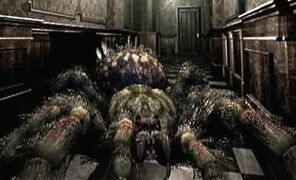Giant spider.jpg