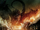 Smaug