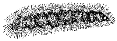 F06C8723-52A5-4E0C-A950-725C4A82032B