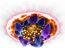 Divine Boons.png