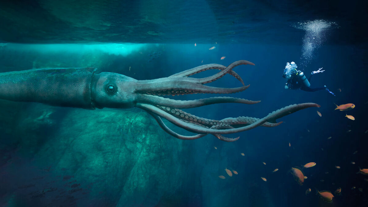 Giant Squid | Disney’s Monster Boy and the Cursed Kingdom Wiki | Fandom