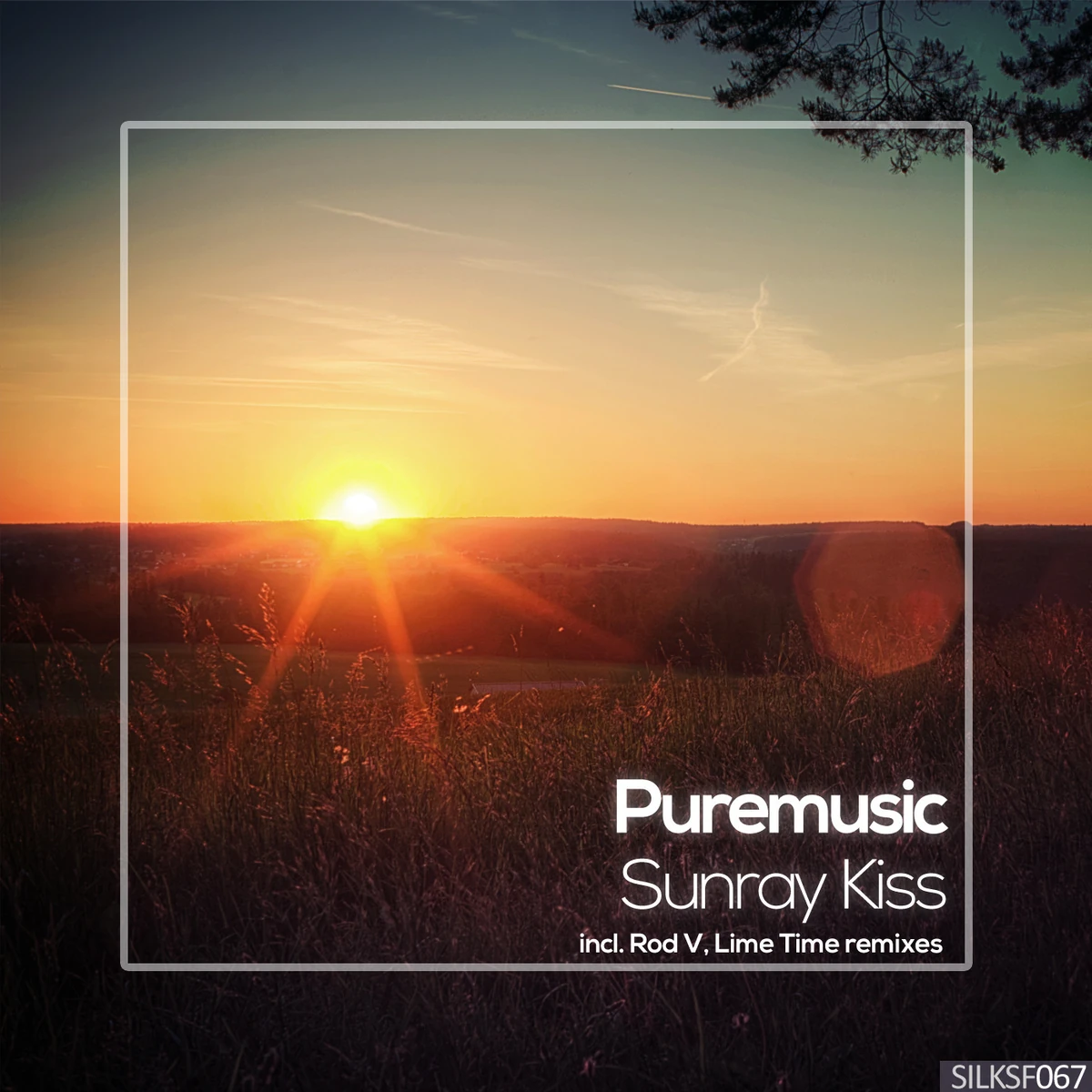 Sunray Kiss (Lime Time Remix) | Monstercat Wiki | Fandom