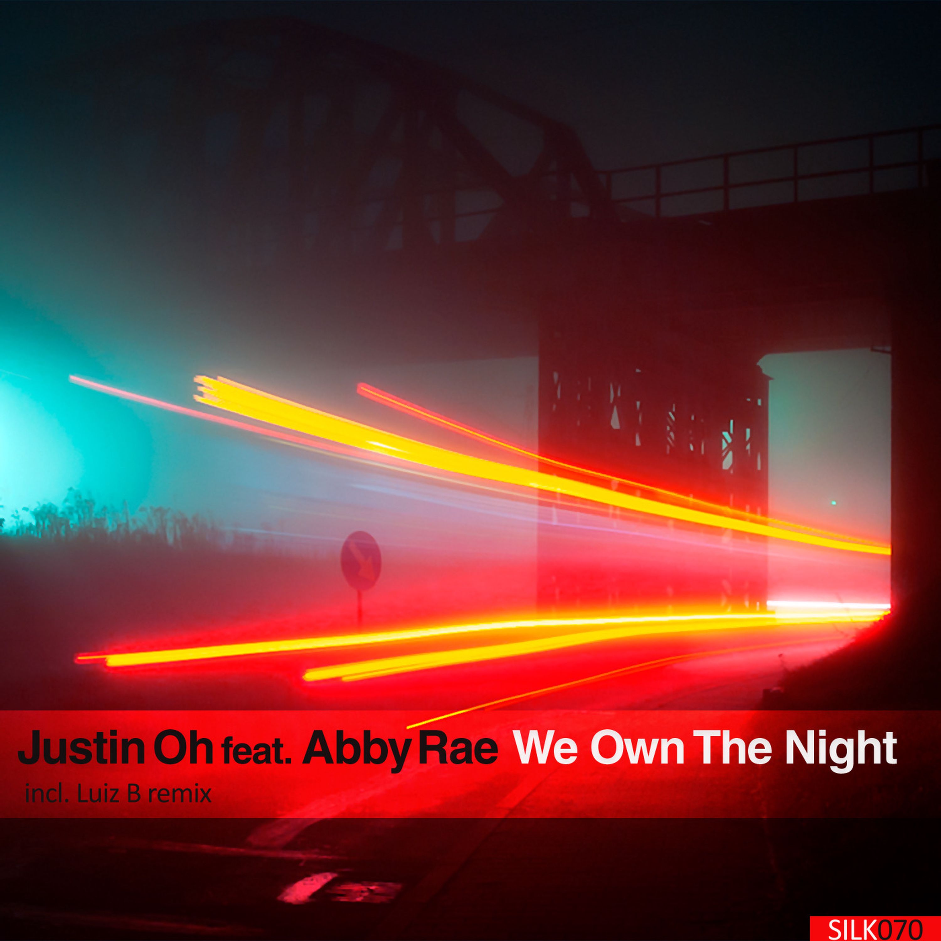 We Own The Night (Luiz B Remix) | Monstercat Wiki | Fandom