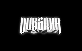 Dubsidia logo