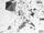 New Age / Dark Age LP