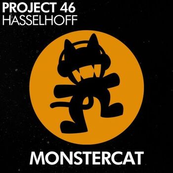 Project 46 - Hasselhoff