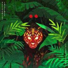 Latest Compilation