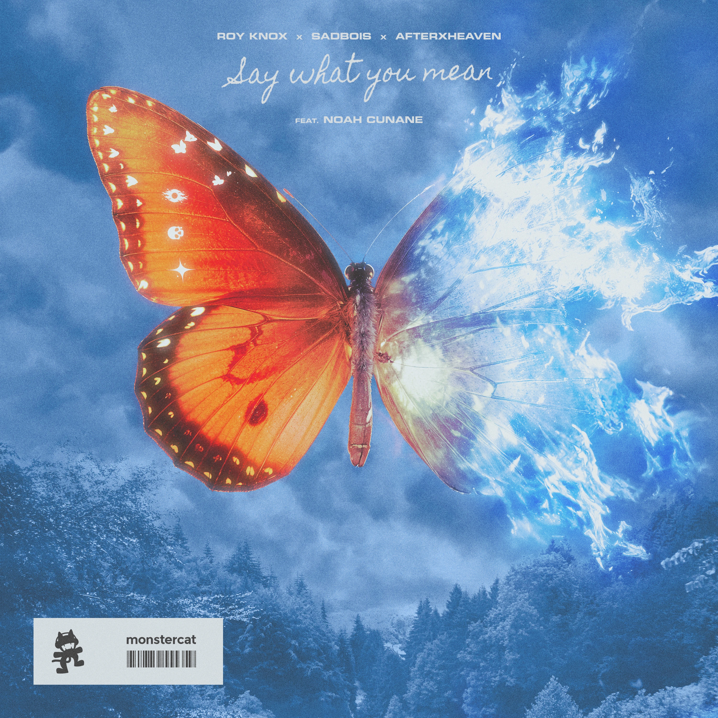 Say What You Mean | Monstercat Wiki | Fandom