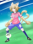 Soccer cat