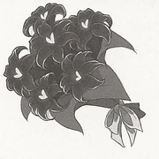 Song Black Lily Bouquet.jpg