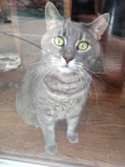 0B6247F1-B3B8-4DEC-9FFF-106C578BDEF5