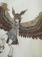 Owl Harpy