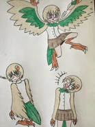 Rowlet Harpy Girl drawings