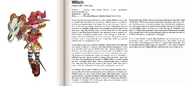 Witch book profile