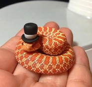 Cute-snakes-wear-hats-106 700