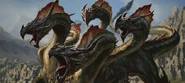 Hydra