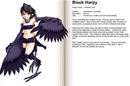 24-25 Black Harpy