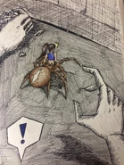 Orb Weaver Arachne Girl - an unexpected encounter