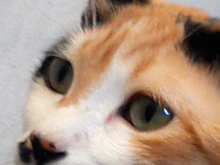 IMG 20160221 094536.jpg