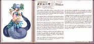 Medusa book profile