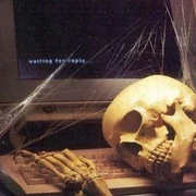Skeleton-waiting-computer-reply.jpg