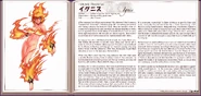 Ignis book profile