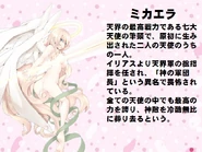 144.jpg (124 KB) 144